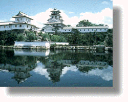 imabari1.gif (33761 oCg)